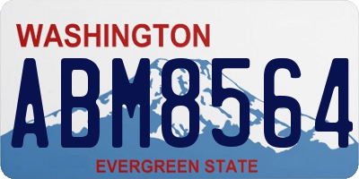 WA license plate ABM8564
