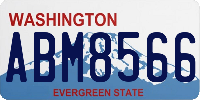 WA license plate ABM8566