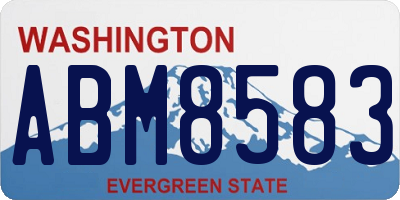 WA license plate ABM8583