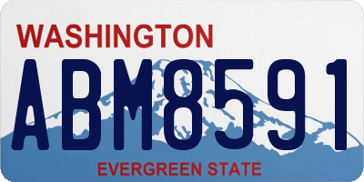 WA license plate ABM8591