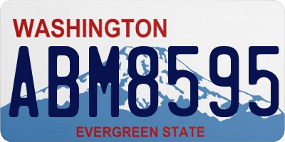 WA license plate ABM8595