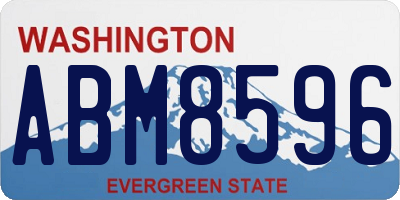 WA license plate ABM8596