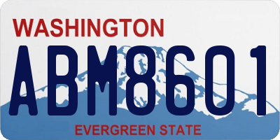 WA license plate ABM8601
