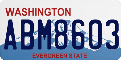 WA license plate ABM8603