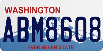 WA license plate ABM8608