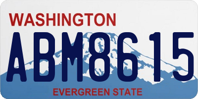 WA license plate ABM8615