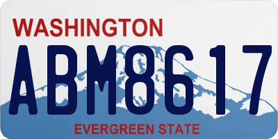 WA license plate ABM8617