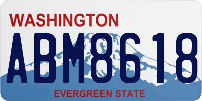 WA license plate ABM8618