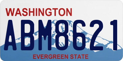 WA license plate ABM8621