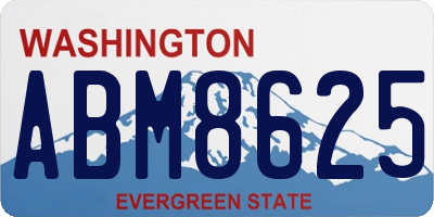 WA license plate ABM8625