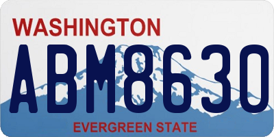 WA license plate ABM8630