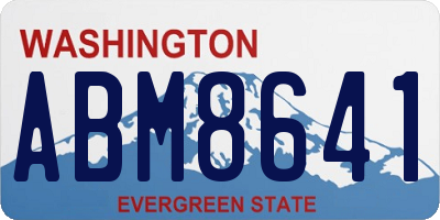 WA license plate ABM8641