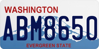 WA license plate ABM8650