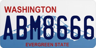 WA license plate ABM8666