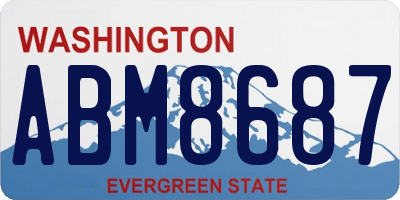 WA license plate ABM8687