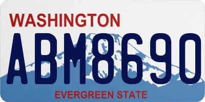 WA license plate ABM8690