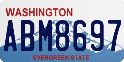 WA license plate ABM8697
