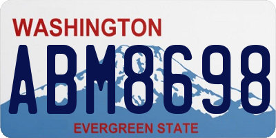 WA license plate ABM8698