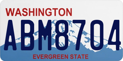 WA license plate ABM8704