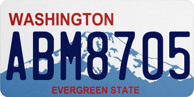WA license plate ABM8705