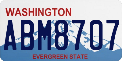 WA license plate ABM8707