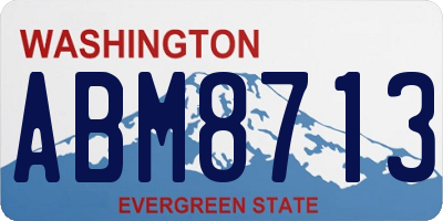 WA license plate ABM8713