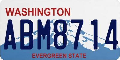 WA license plate ABM8714