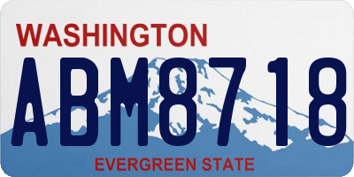 WA license plate ABM8718