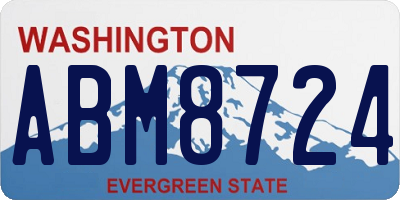 WA license plate ABM8724