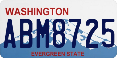 WA license plate ABM8725
