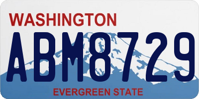 WA license plate ABM8729