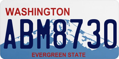 WA license plate ABM8730