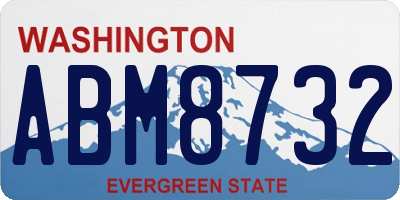 WA license plate ABM8732