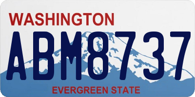 WA license plate ABM8737