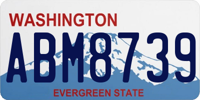 WA license plate ABM8739