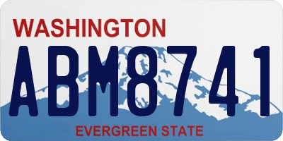 WA license plate ABM8741