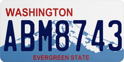 WA license plate ABM8743