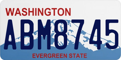 WA license plate ABM8745