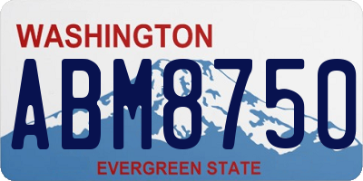 WA license plate ABM8750