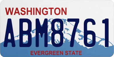 WA license plate ABM8761