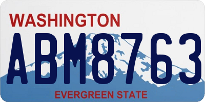 WA license plate ABM8763