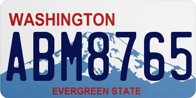 WA license plate ABM8765