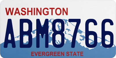 WA license plate ABM8766