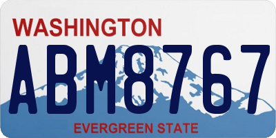 WA license plate ABM8767