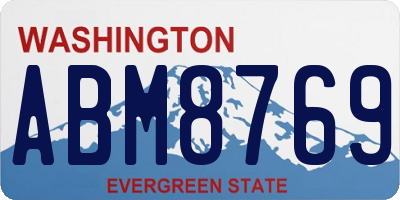 WA license plate ABM8769