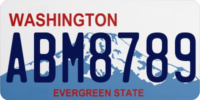 WA license plate ABM8789