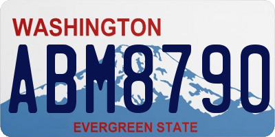 WA license plate ABM8790