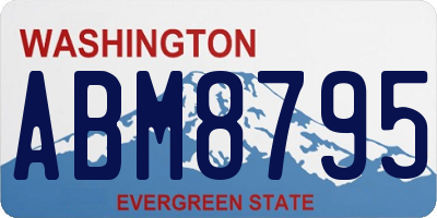 WA license plate ABM8795