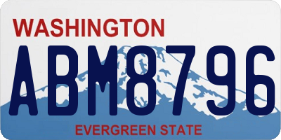WA license plate ABM8796