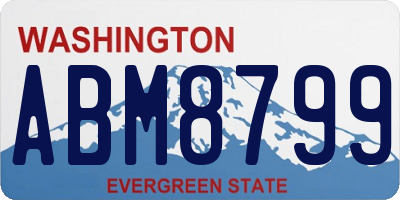WA license plate ABM8799